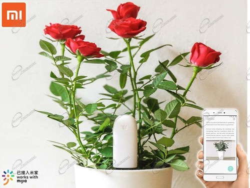 Xiaomi smart flower - xiaomi, care
